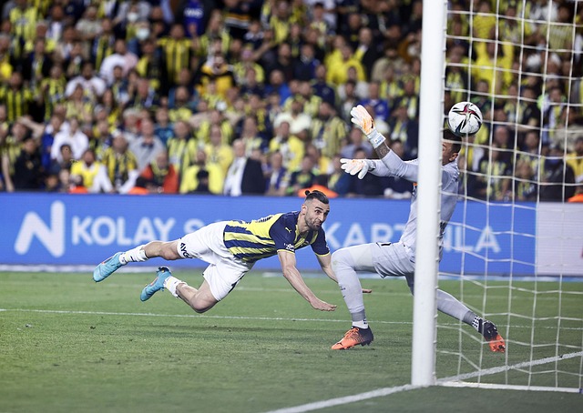 不可忽视的 不可忽视的