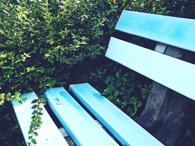 经过几周的 经过几周的