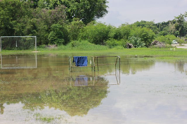 心理的安定 心理的安定